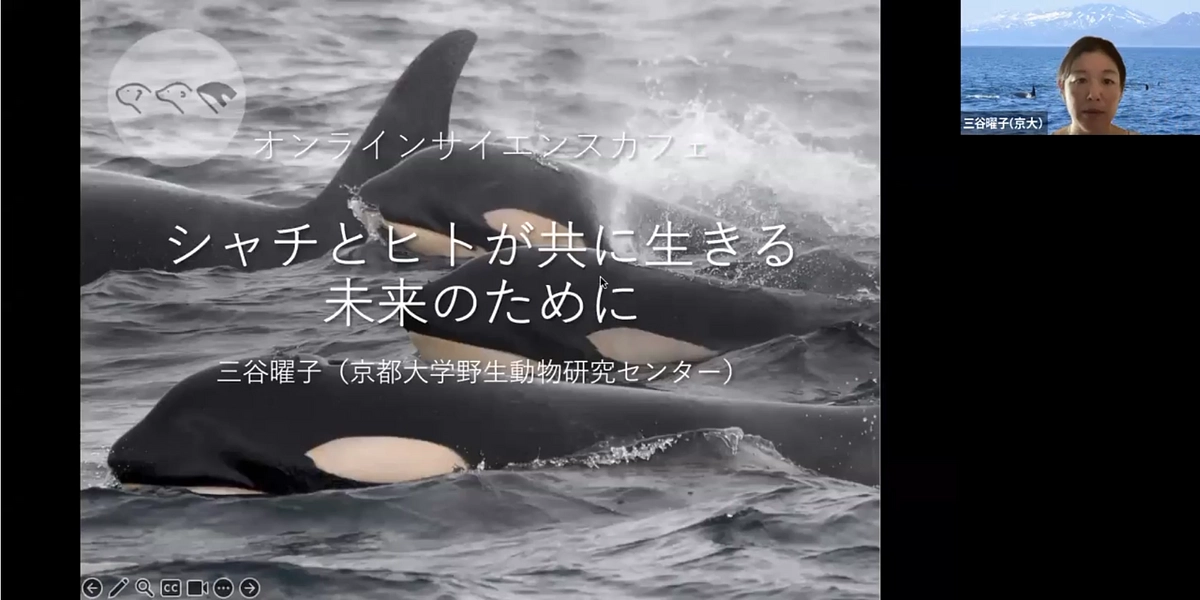 オンラインサイエンスカフェを開催しました！