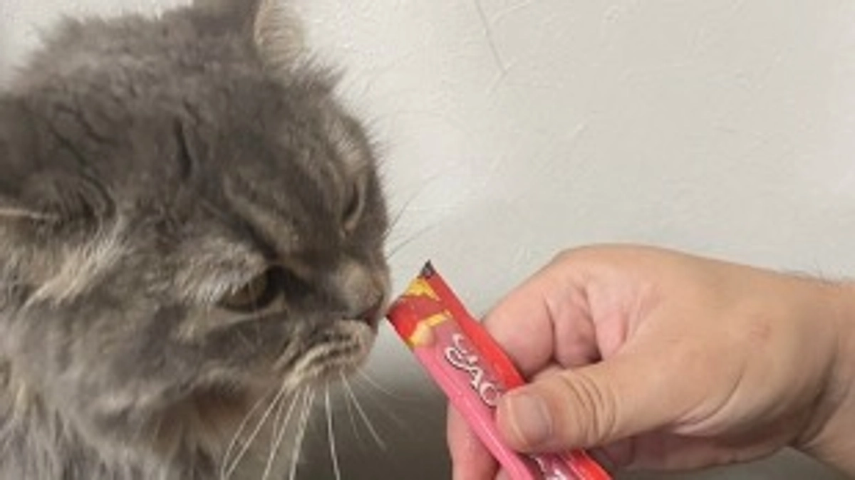 9/23  闘病27日目