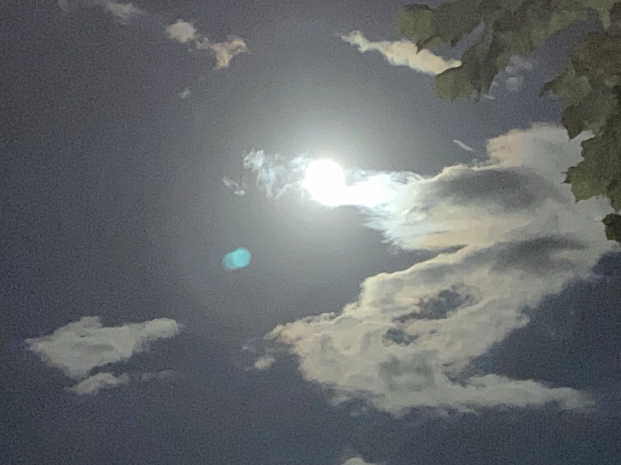 満月の夜、御神木から龍神さまの精霊が形を表します！