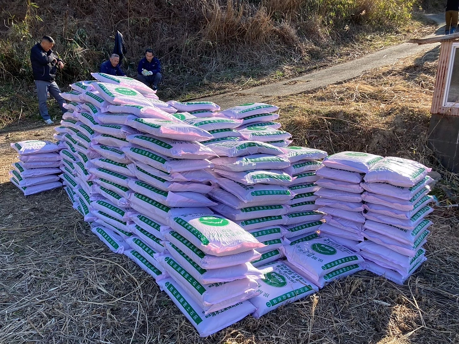 栗の樹長寿命化の鍵は土壌改良