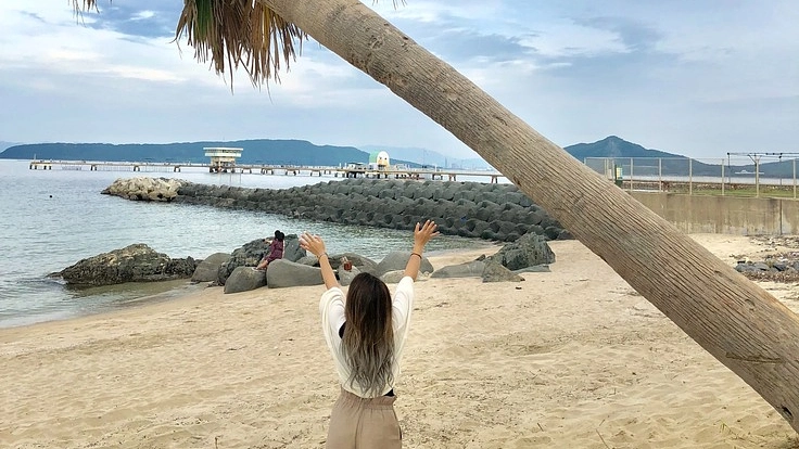 女子大学生が就活を辞めて、たこ焼き屋さんを開業したい！！！