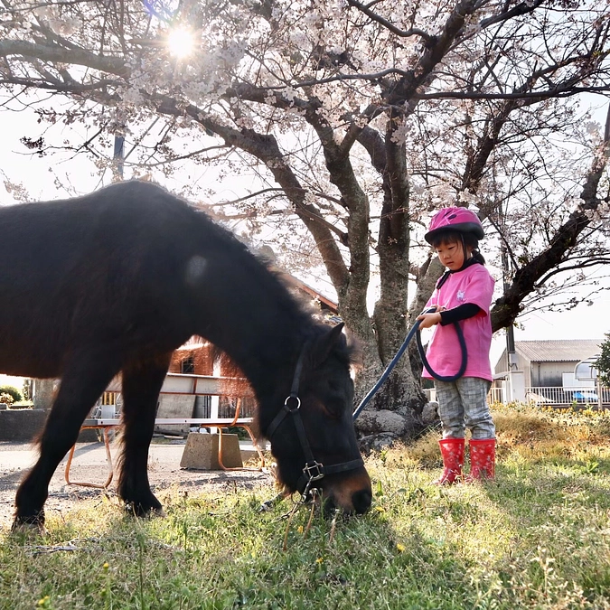 第2弾‼️"屋根プロジェクト"を始めます🏇✨️
