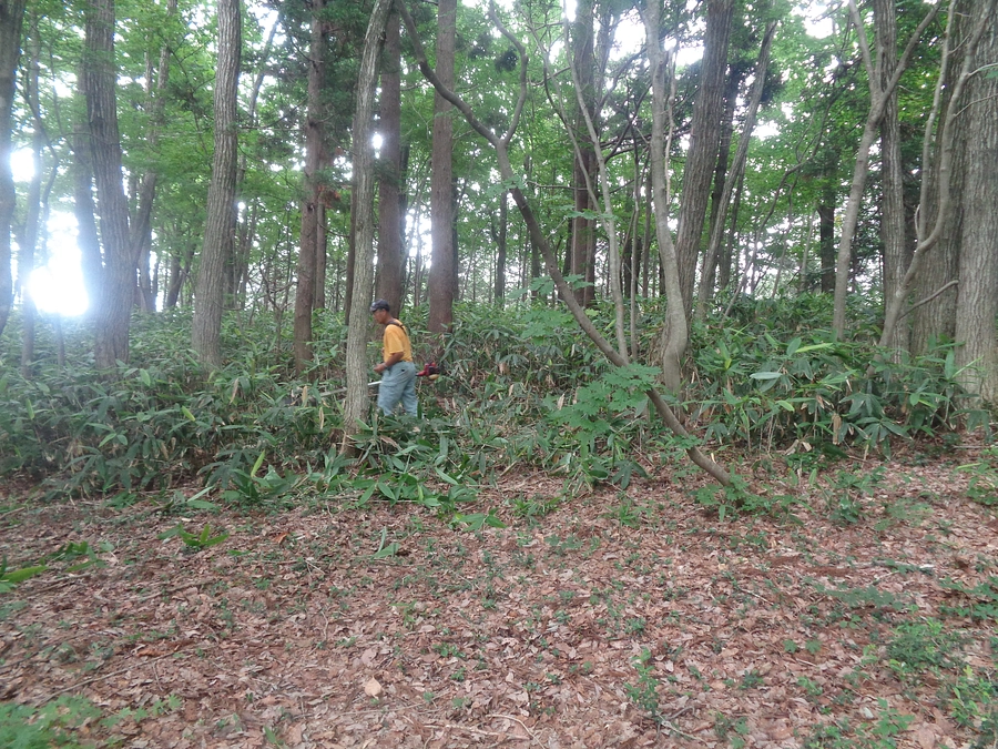 いよいよ最終日を迎えます！いま一歩のご支援をお願いします！