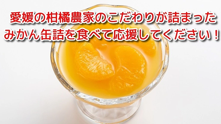 内皮がついたままで添加物を使用していないみかん缶詰を全国に届けたい