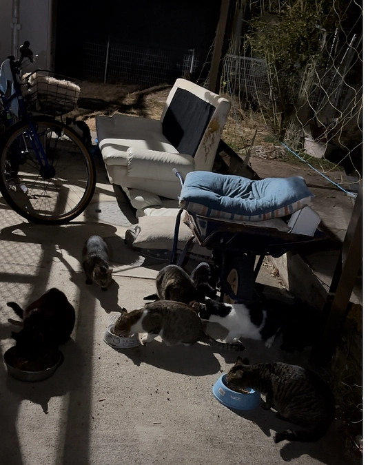 次から次へと問題が。。