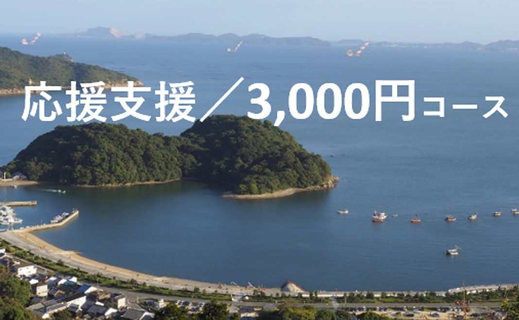 応援支援／3,000円