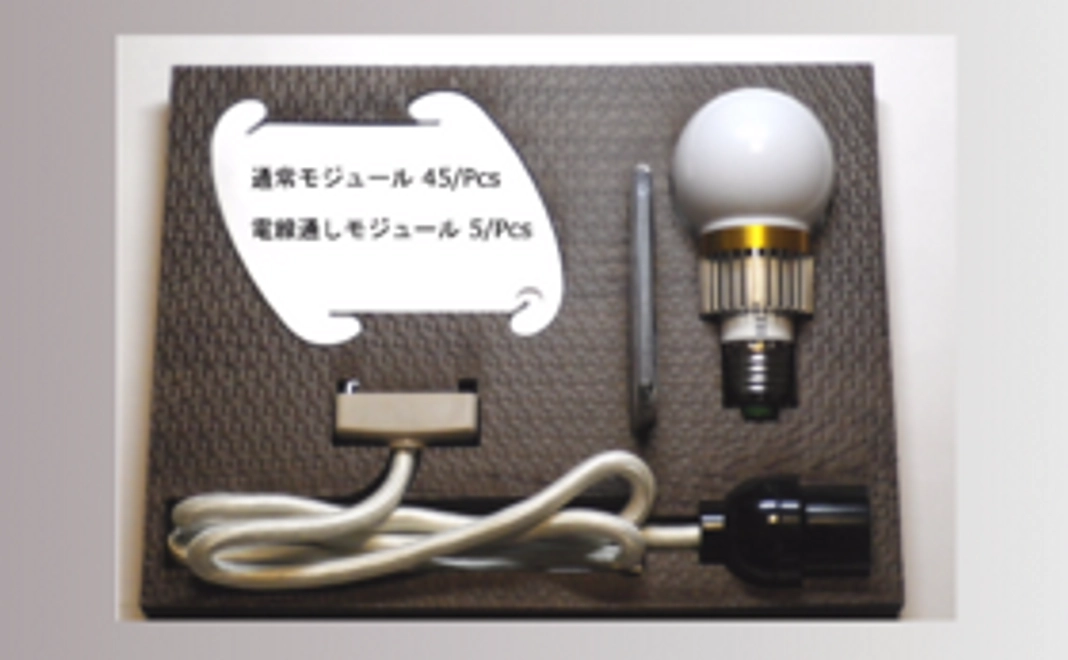 【READYFOR限定】IQ-Light+50モジュールRGBｰLED電球付きキット