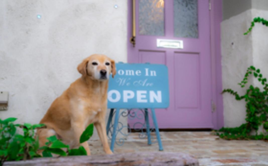 シロちゃん応援コース２