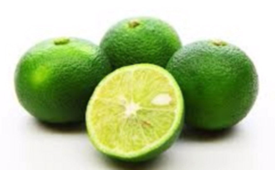 支援者様感謝会ご招待＆大分かぼすをお届けします！