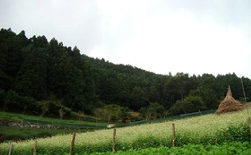 お礼のお手紙送付＋園入口に大谷焼での陶板にお名前の掲載（１万円コース）