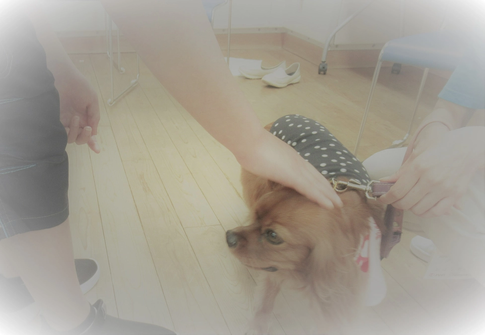 子ども達のお楽しみ♪ワンワンふれあいタイム🐶