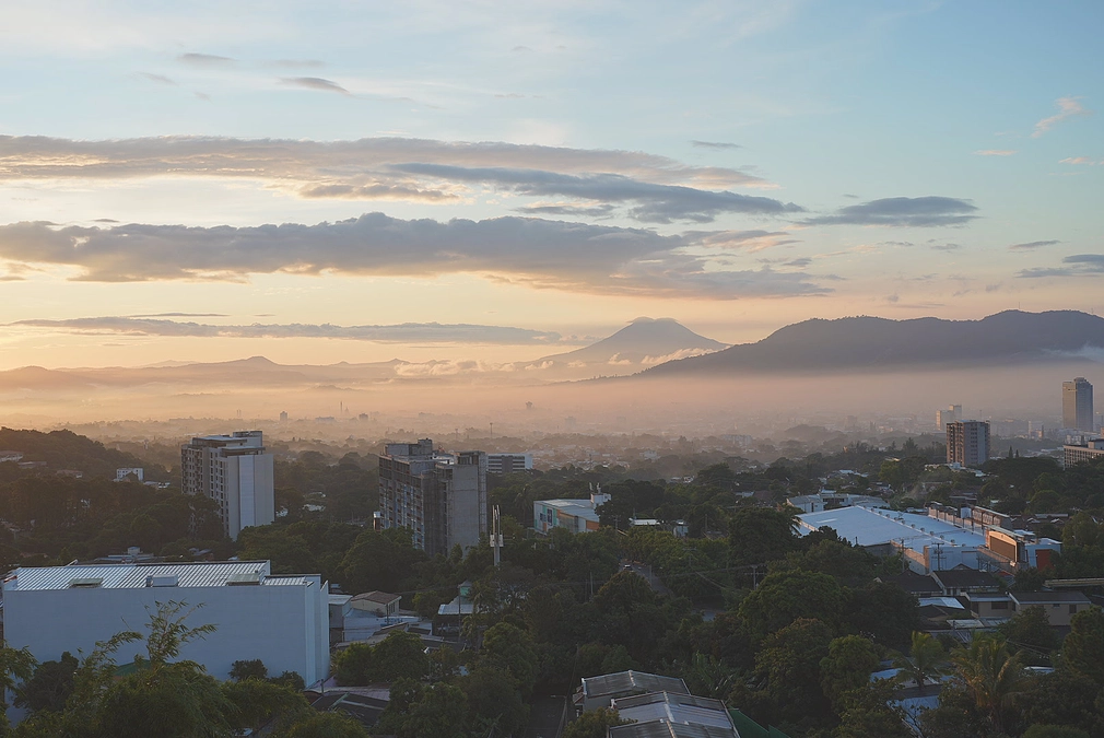 ププサって知っていますか？