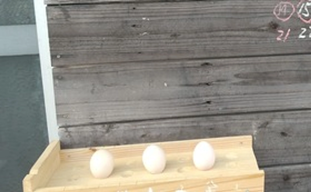 女竹製ケーナと卵10個入り