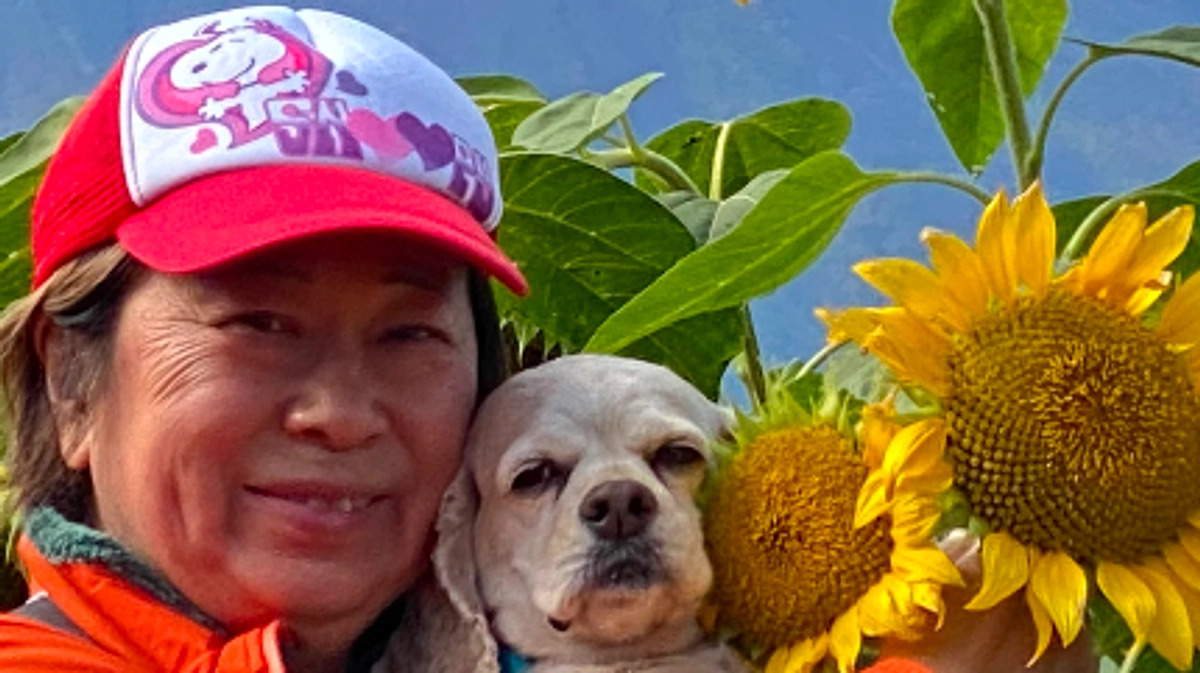 ロレンツア天国に行き　あっという間に半年過ぎました　まだ毎朝毎晩散歩行ってます