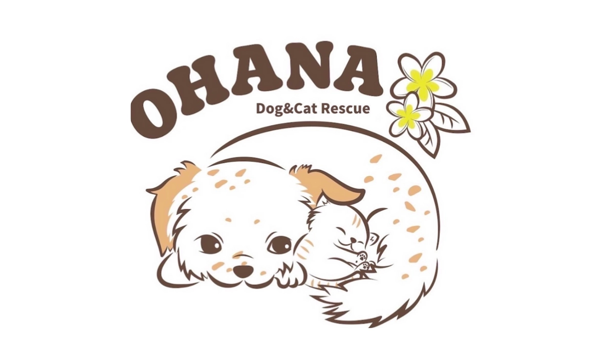 OHANA🌺譲渡会を開催 「涙ながらに挨拶をする代表。犬猫を助けたい！と純粋で熱い気持ち」