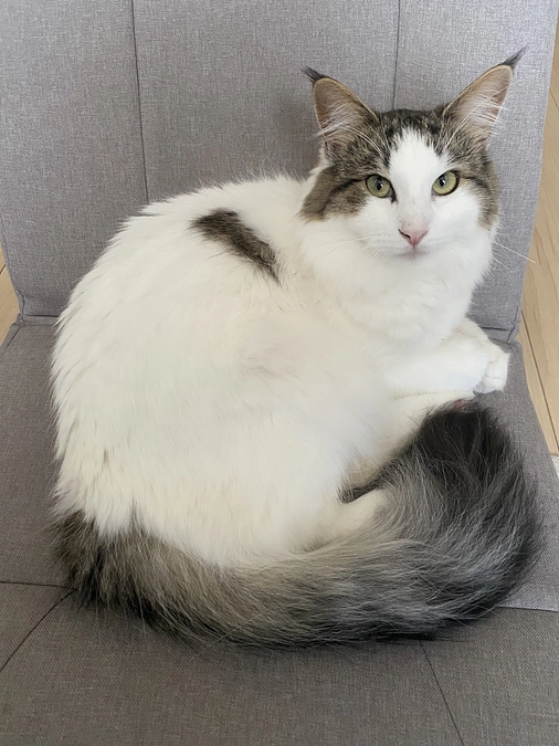 ボール⚽️発見！