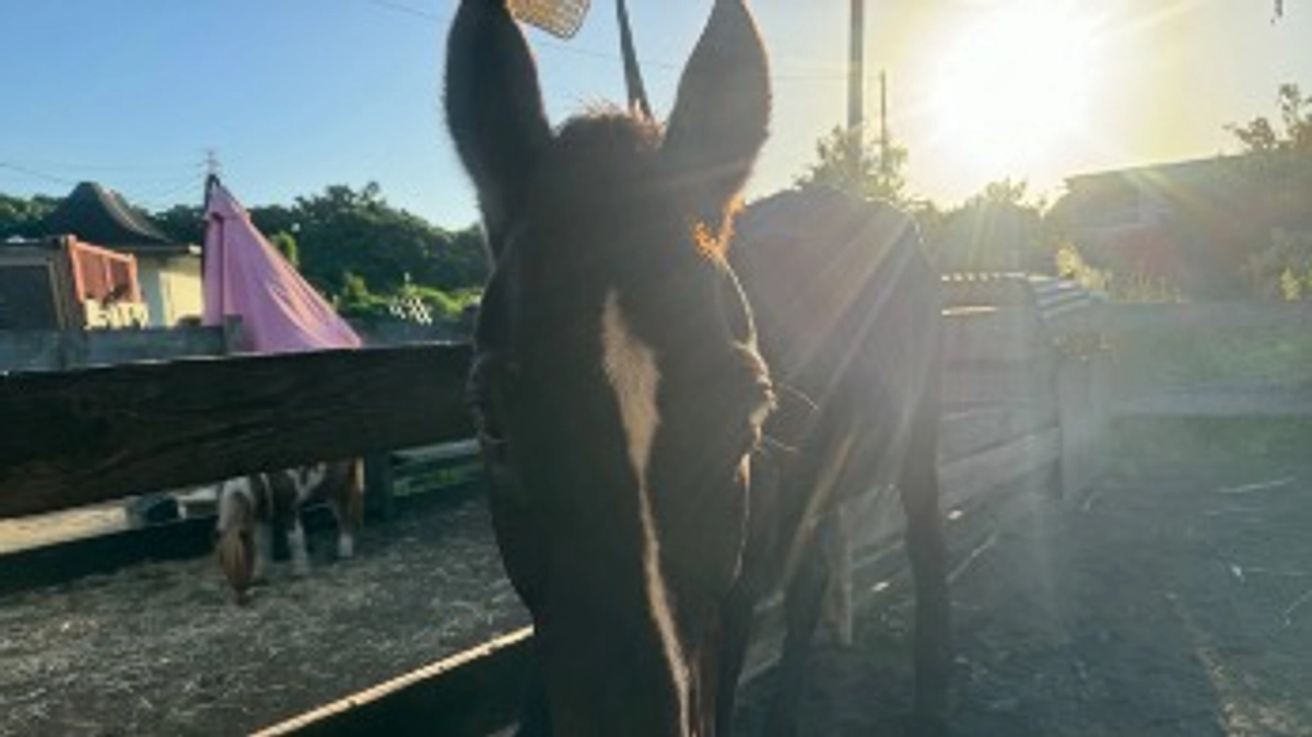 残り5日間、諦めず頑張ります！