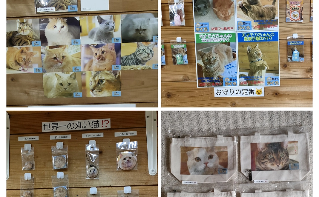 毎月応援 10,000円コース