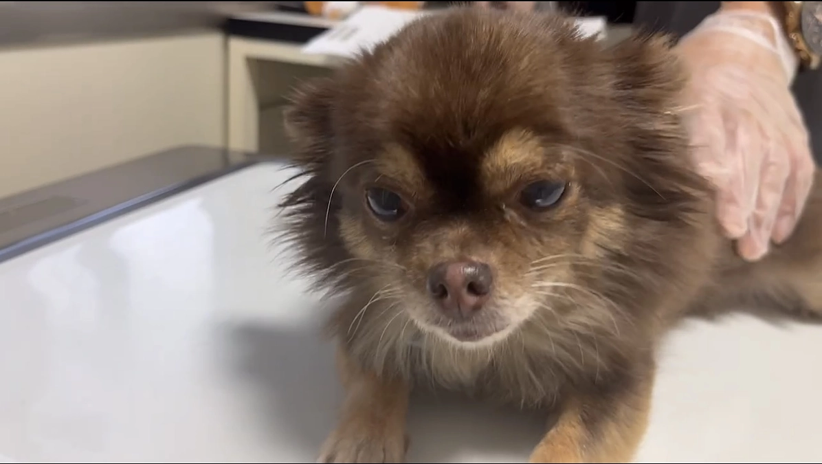 通院してきました🏥💊