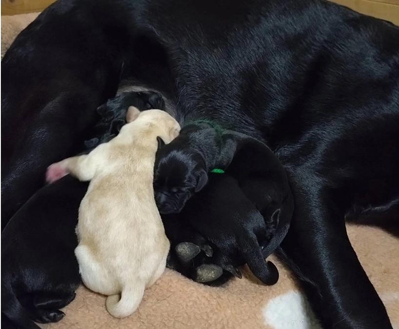 本年もご支援ありがとうございました(2023/12/29）