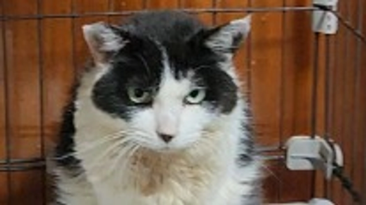 🆘️クラウドファンディング最終日🆘️