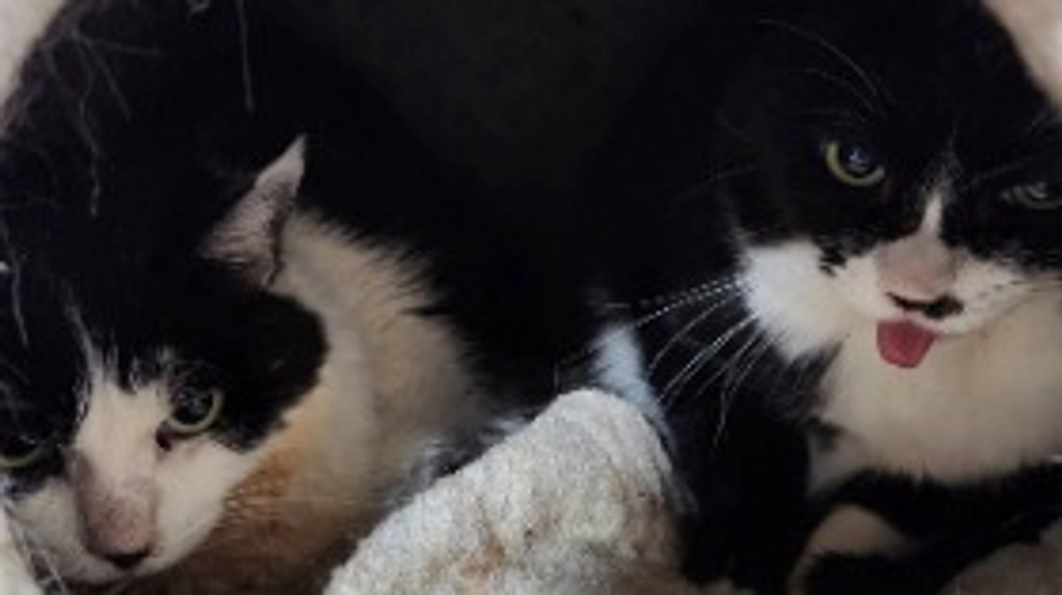 マリア病院へ行って来ました🏥