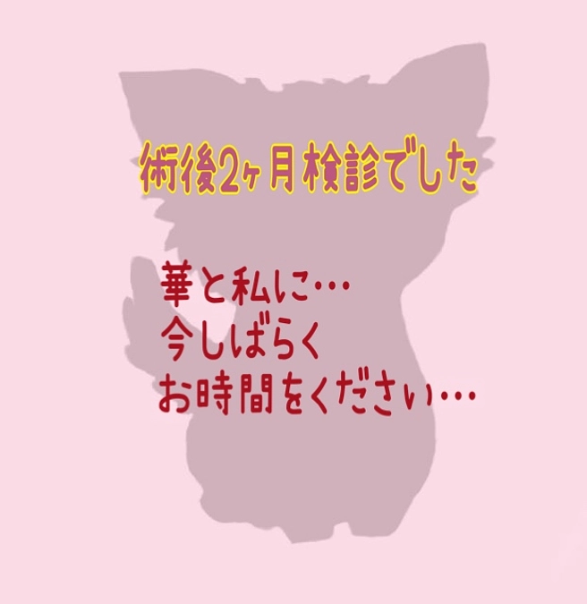 術後2ヶ月検診でした…