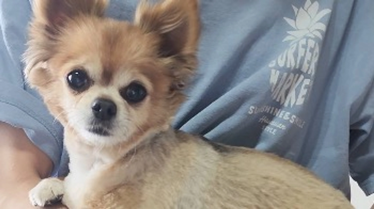 クラファン開始から6/29までのご支援者様(READYFOR)【活動報告14日目】