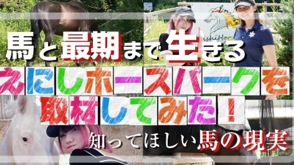 YouTube取材　えにしホースパークの日常と馬への想い