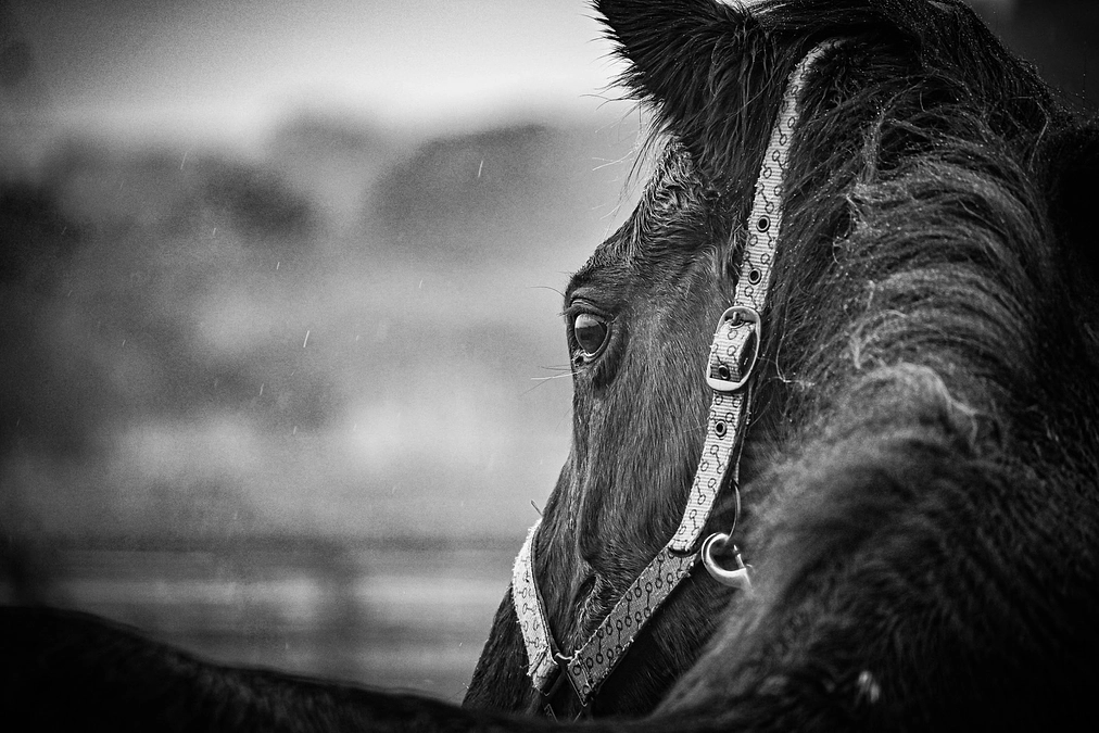暗渠工事が始まりました！