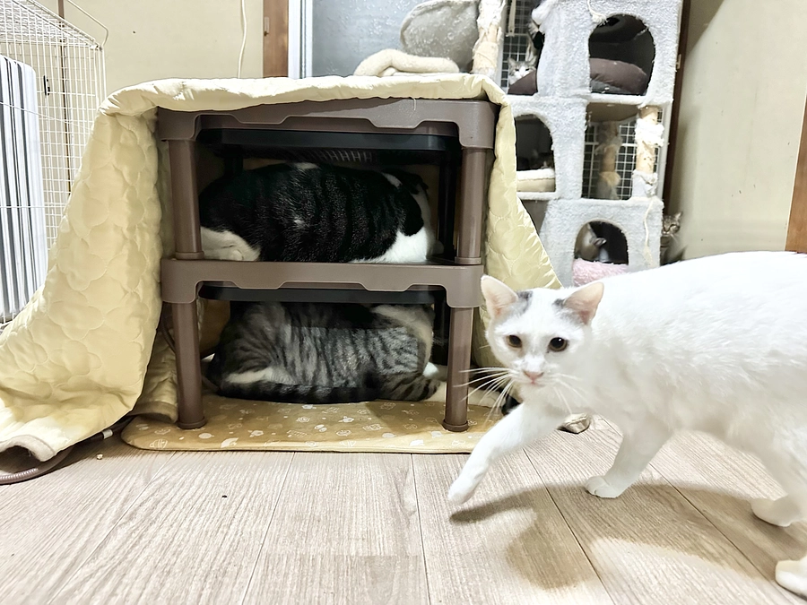 天井から水漏れしました