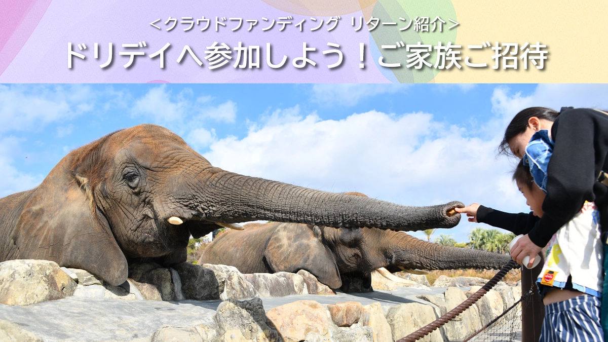 リターンのご紹介【10月15日締切】ドリデイへ参加しよう！｜ご家族ご招待