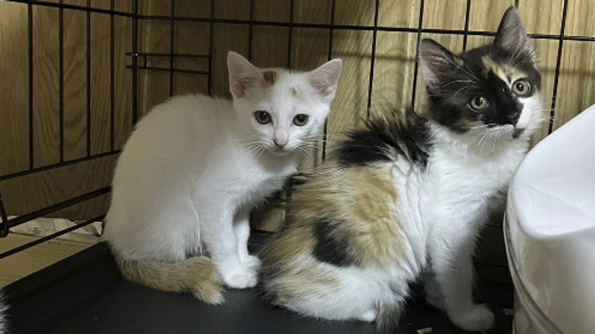 6月の中間報告！