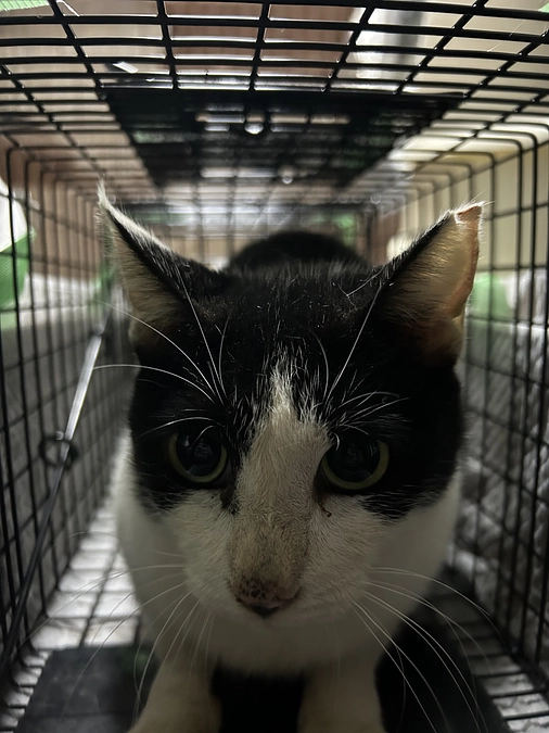 令和6年4月〜現在までの活動報告