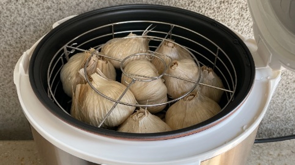 黒にんにく試作中