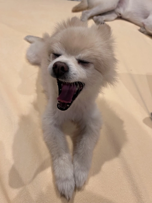 15/59 ☆ うちの子 2ヶ月記念日