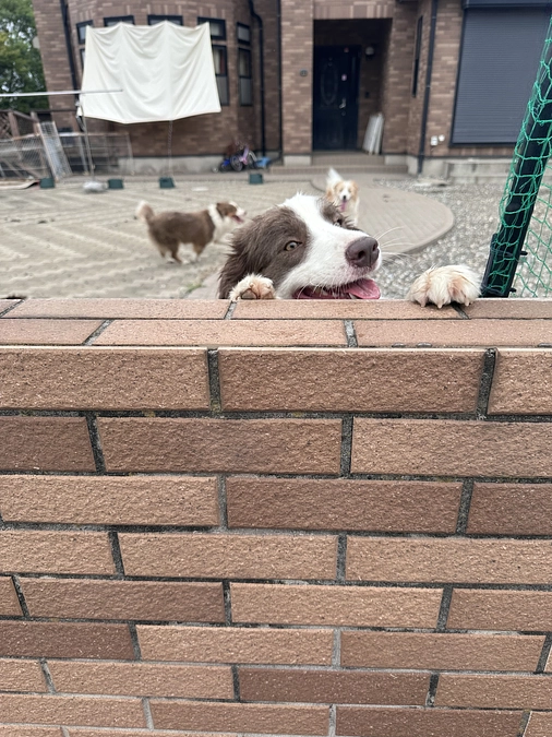 保健所の立会い検査が無事に終わりました！