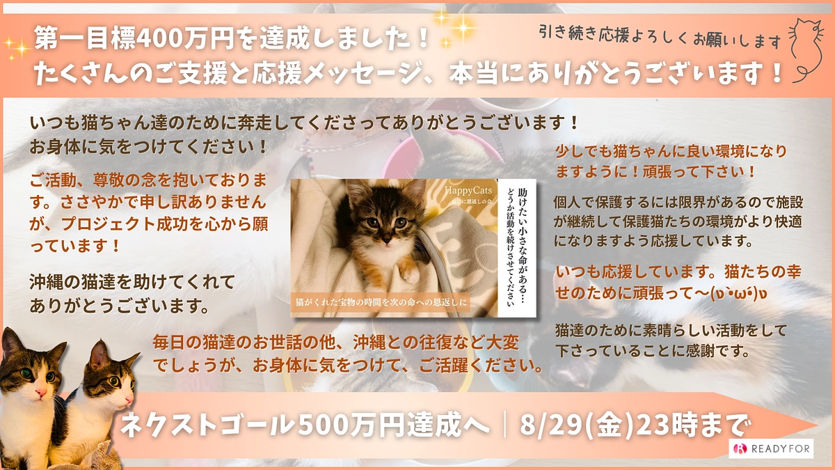 【ご報告】クッキーちゃんは元気にしています！そして、新たな挑戦でネクストゴールを目指しています。
