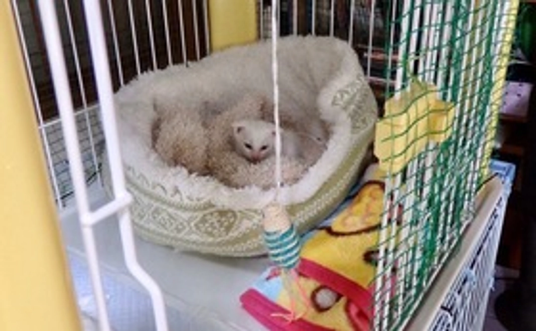 写真付き感謝のメール