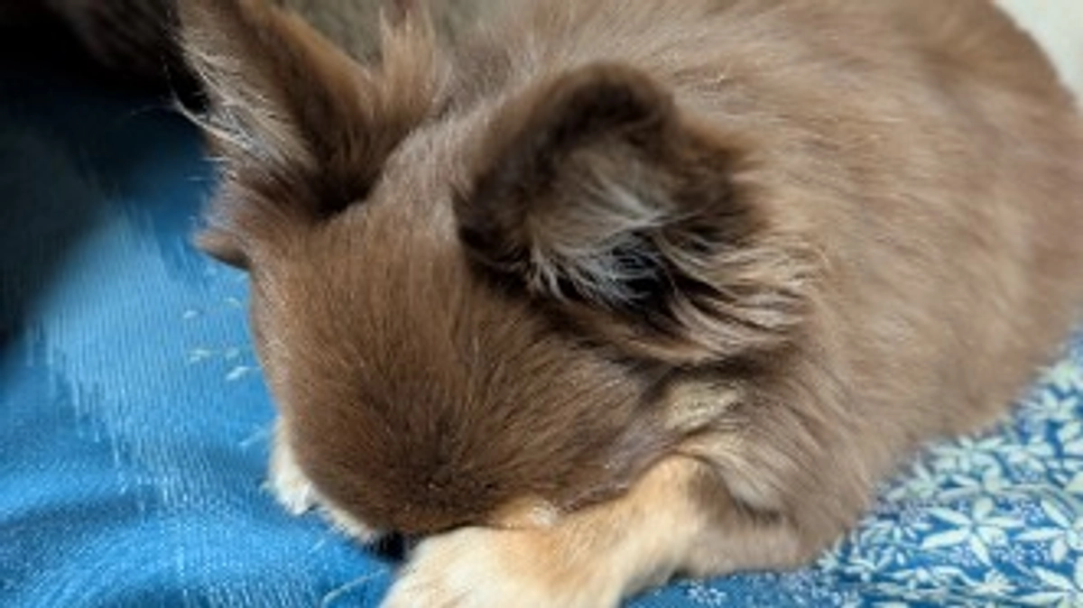 クラウドファンディング2日目