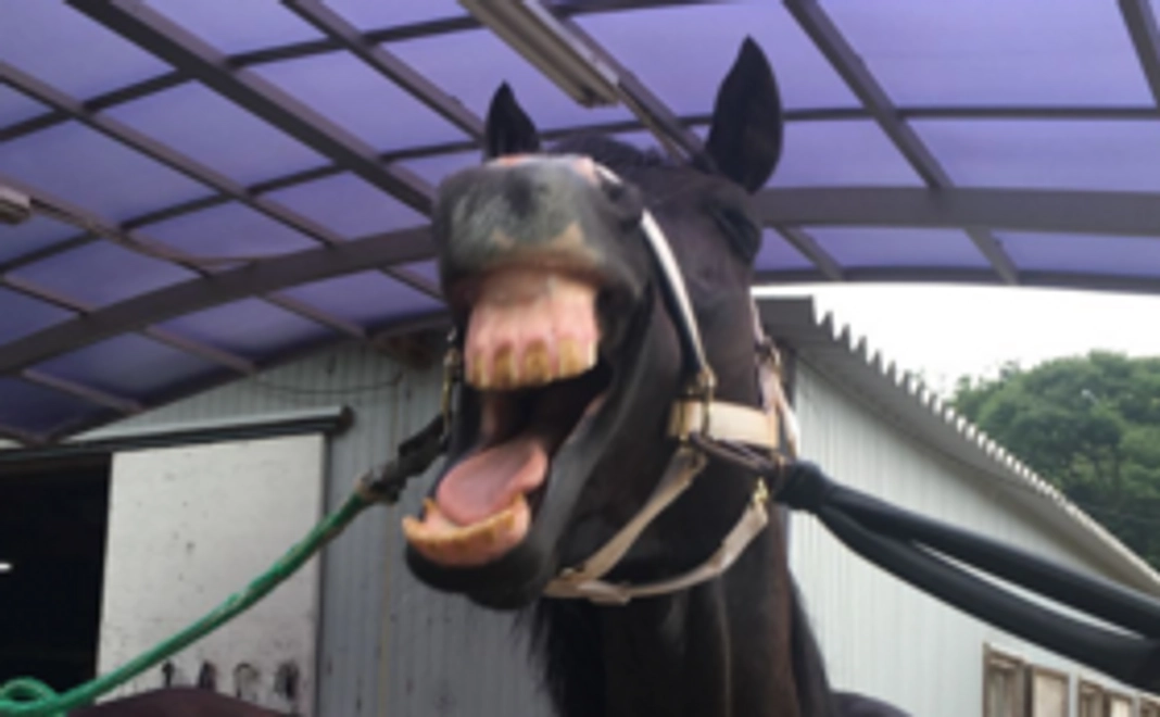 毎月応援3,000円コース