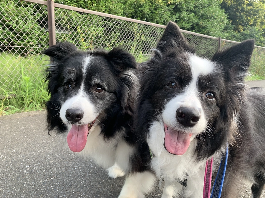 ついに最終日になりました。