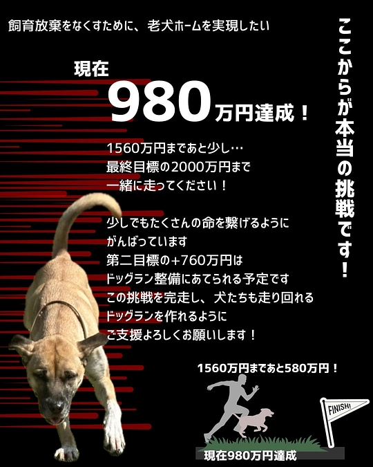 【目指す！まずは、1560万】ワクワクの工事進捗！