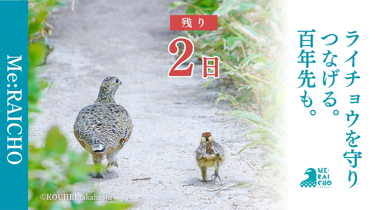 【プロジェクト終了まで残り2日】守り、つなげる、100年先も。