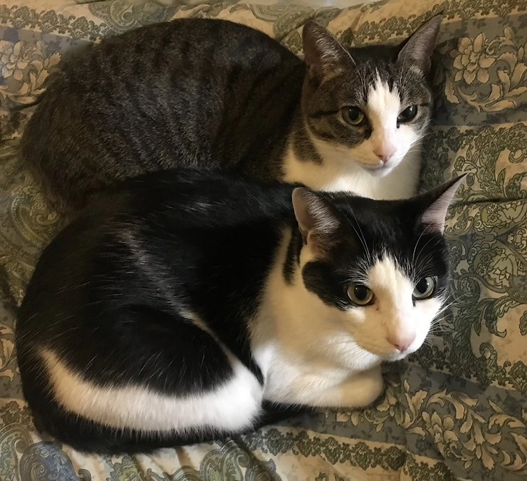 欲しいものリストについて