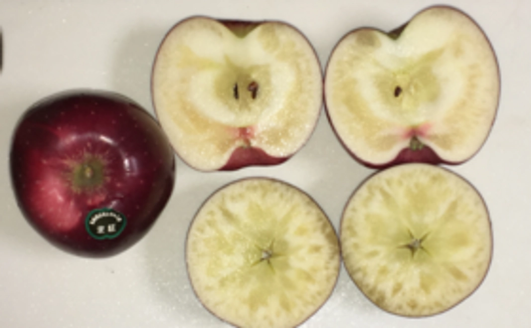 蜜だらけの大玉プレミアム林檎・北紅　3㎏（約6個）　&　ドライアップル1袋