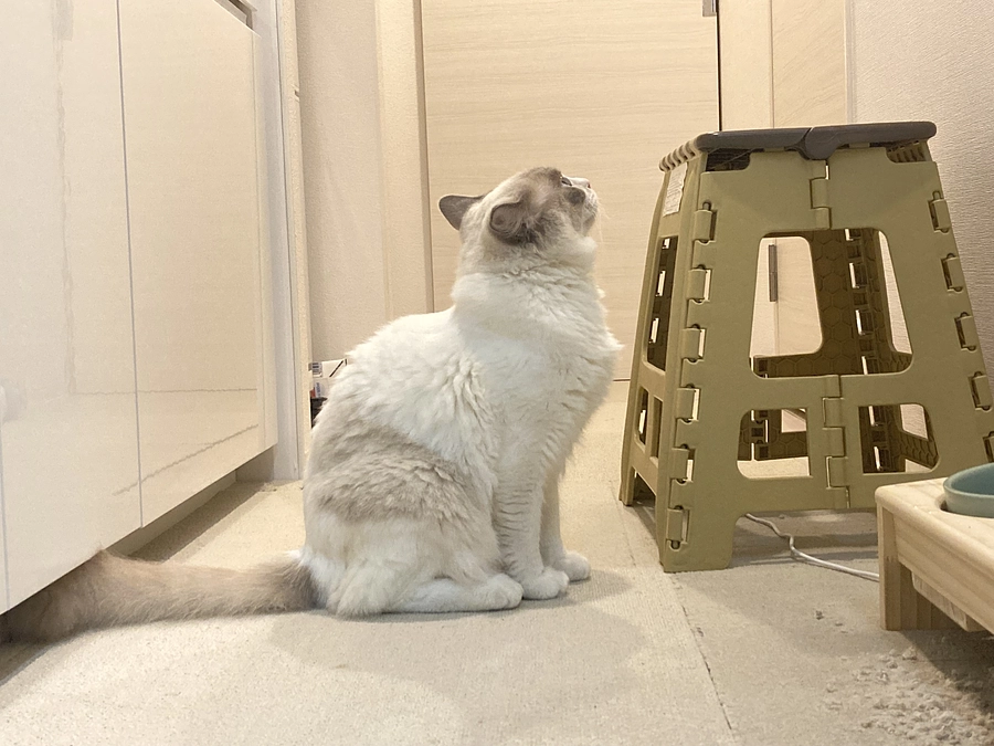 【最終投稿】今まで応援ありがとうございました☀