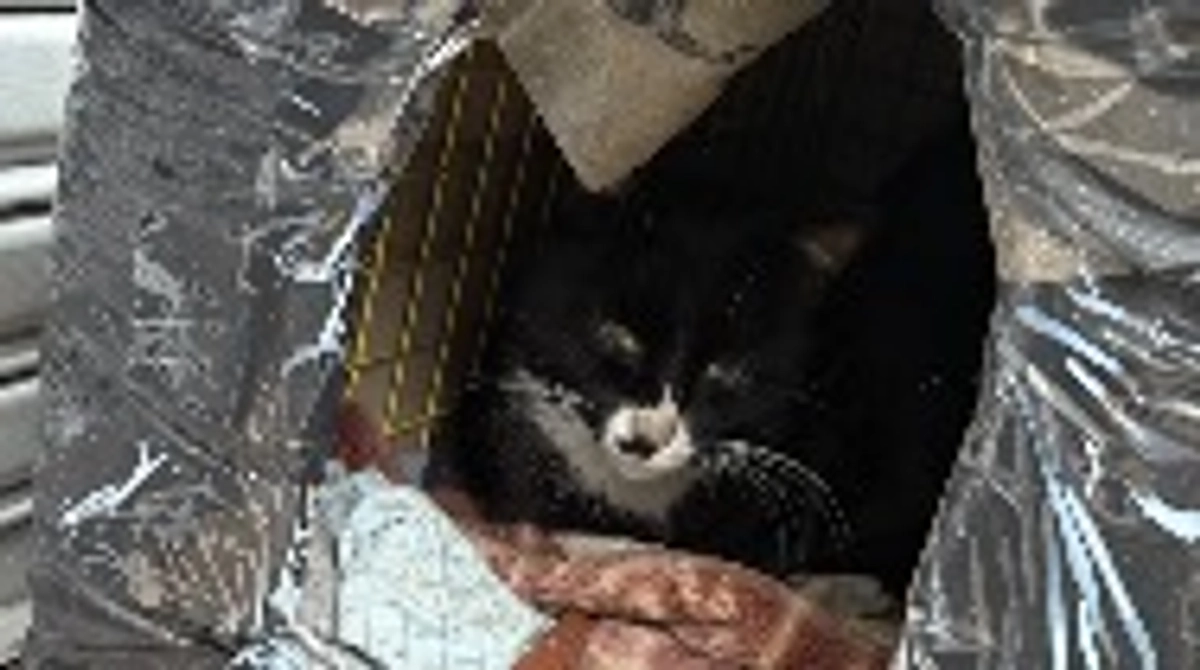 薬を盛られた可能性