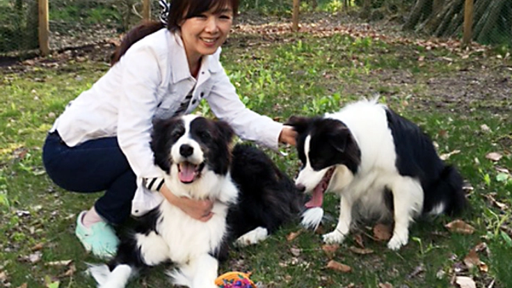 チャリティコンサートを通じて、動物保護団体の支援をしたい。