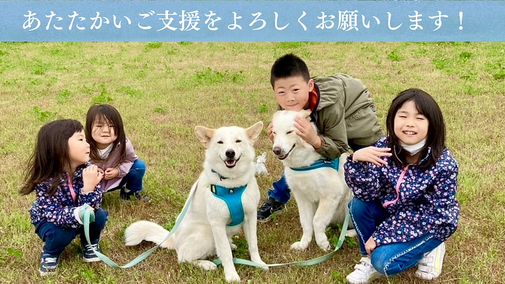 映画『吾輩は保護犬である』完成!映像の力で命の尊さを全国に伝えたい 7枚目